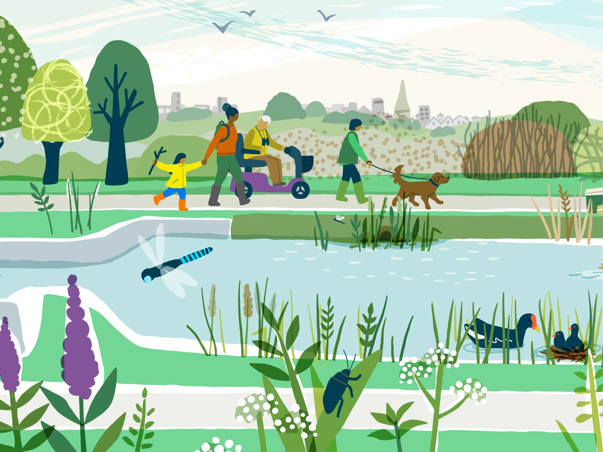 Illustration of a canal scene, featuring wildlife and nature and people enjoying leisure time, running, cycling, fishing and a family walk