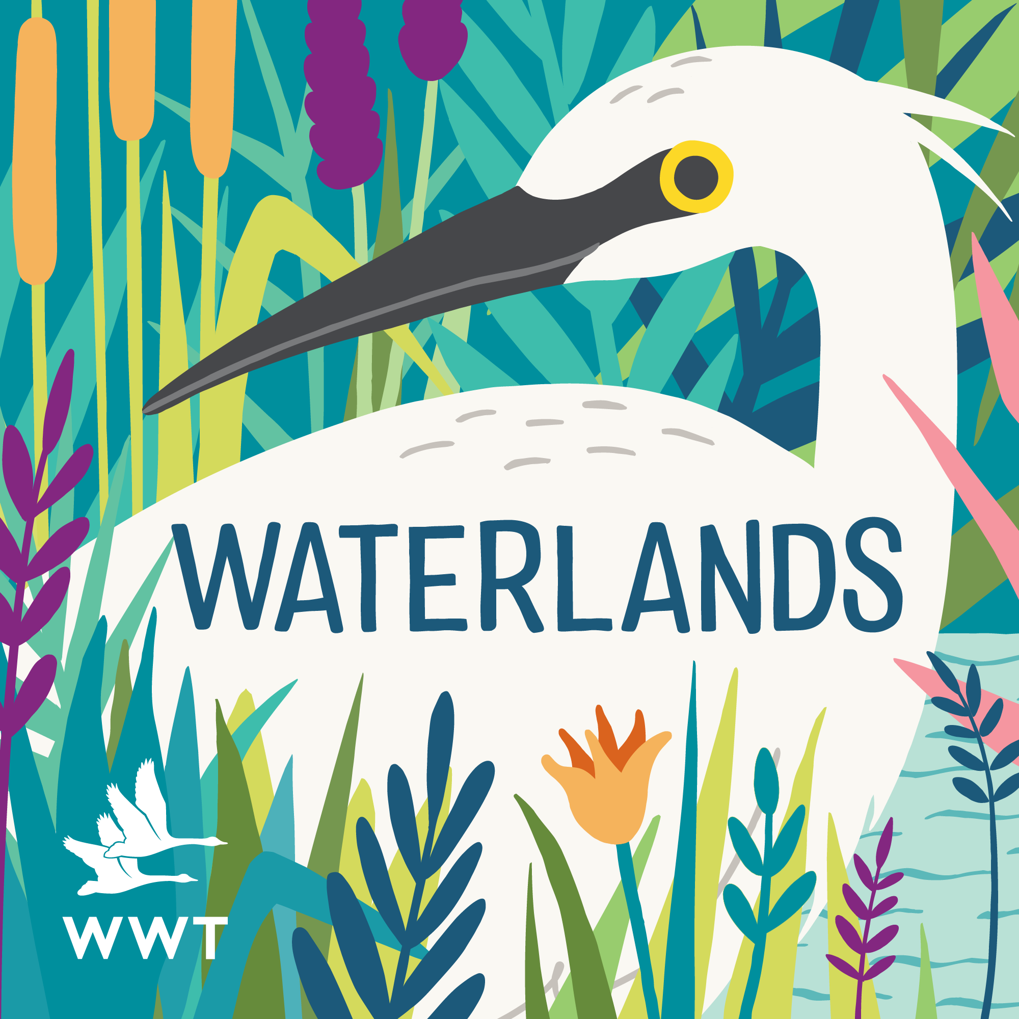 Waterlands podcast illustration featuring colourful wetlands plant life and a heron