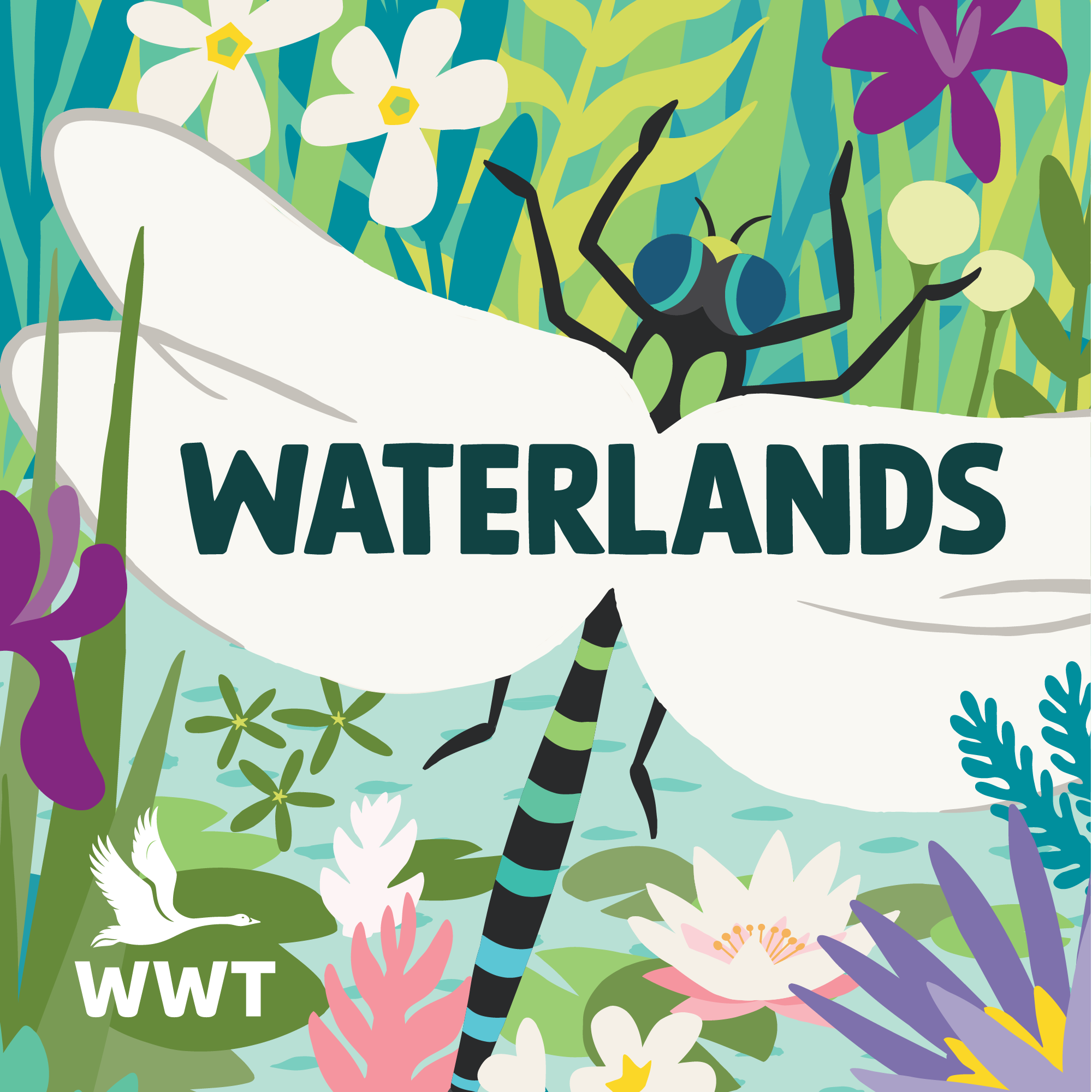 Waterlands podcast illustration featuring colourful wetlands plant life and a dragonfly