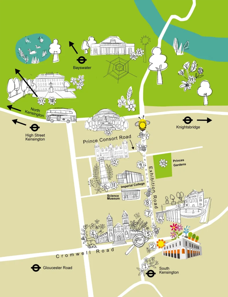 Stage 3 of 5 showing the process of creating an illustrated map for a nature-inspired, family-friendly trail in Soth Kensington, London